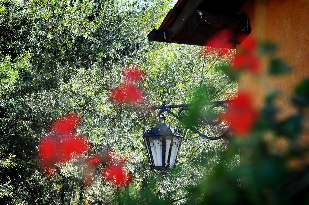 L'Antica Mola Villa Castel Madama Стая снимка