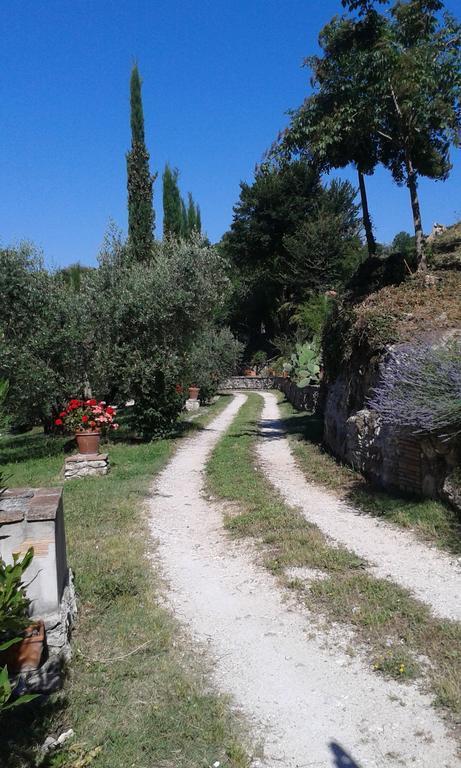 L'Antica Mola Villa Castel Madama Стая снимка