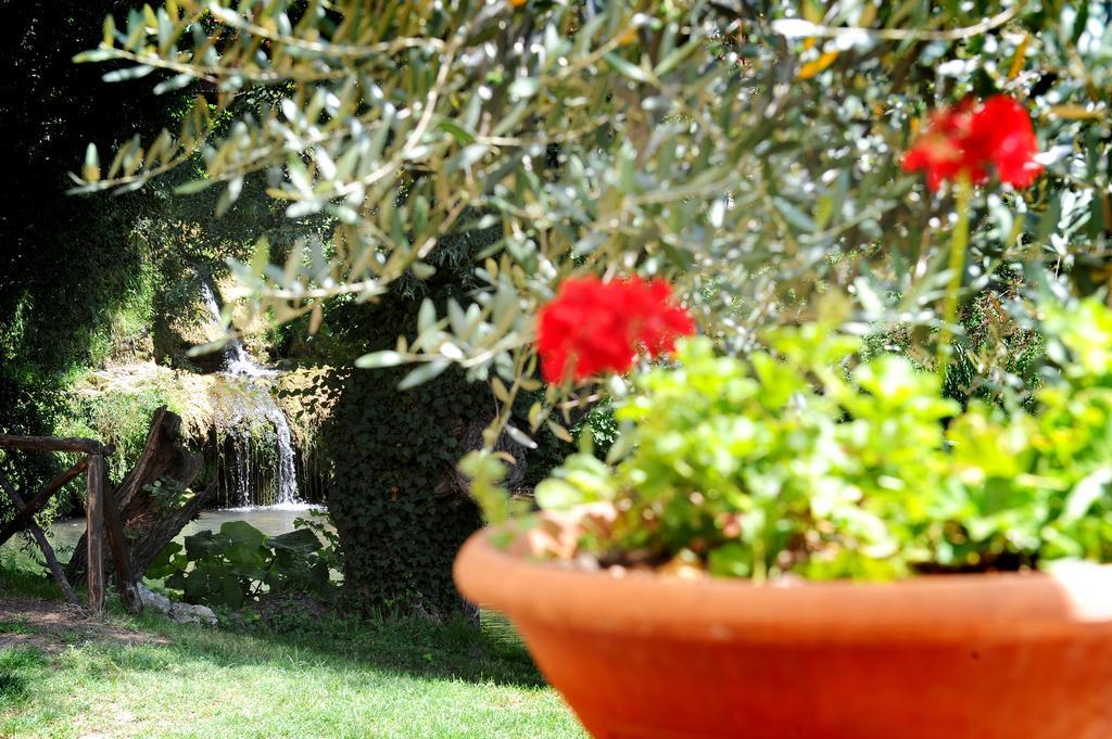 L'Antica Mola Villa Castel Madama Стая снимка