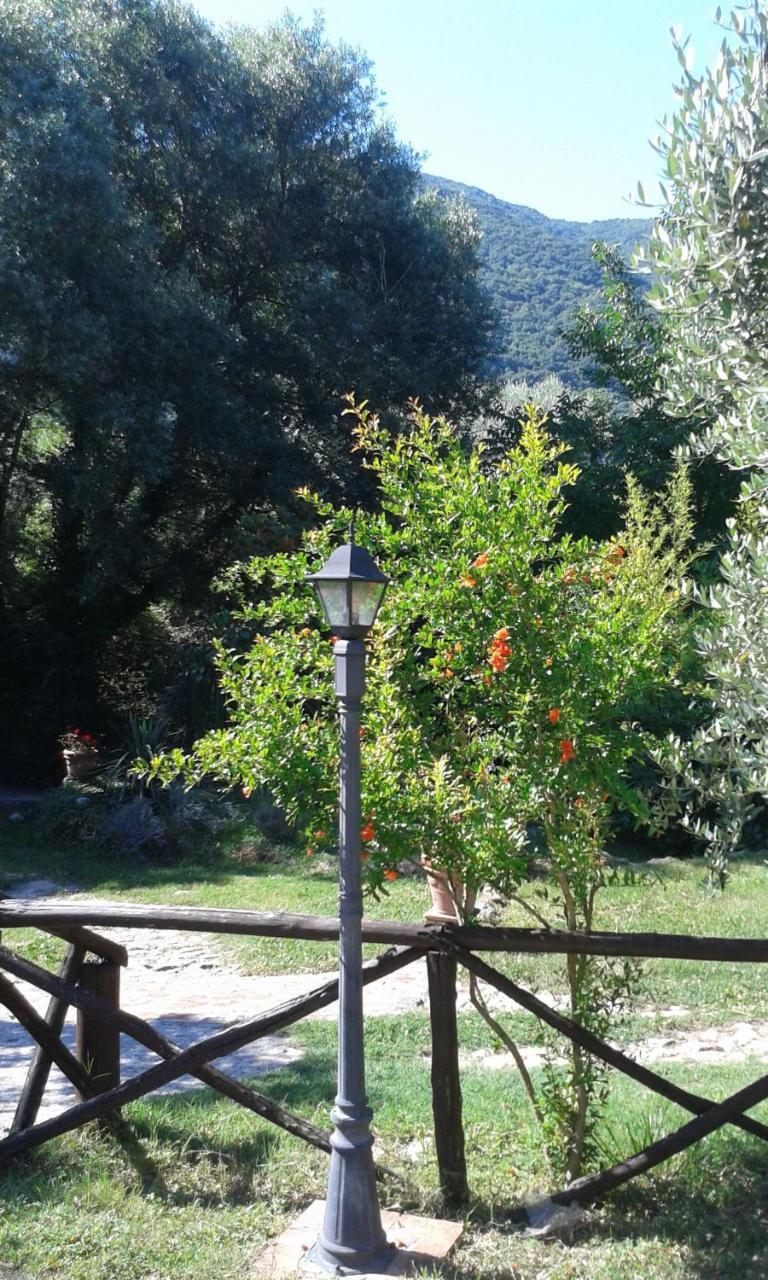 L'Antica Mola Villa Castel Madama Екстериор снимка